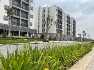 Hà Nội chuẩn hóa điều kiện thuê mua NƠXH đối với người bị thu hồi đất