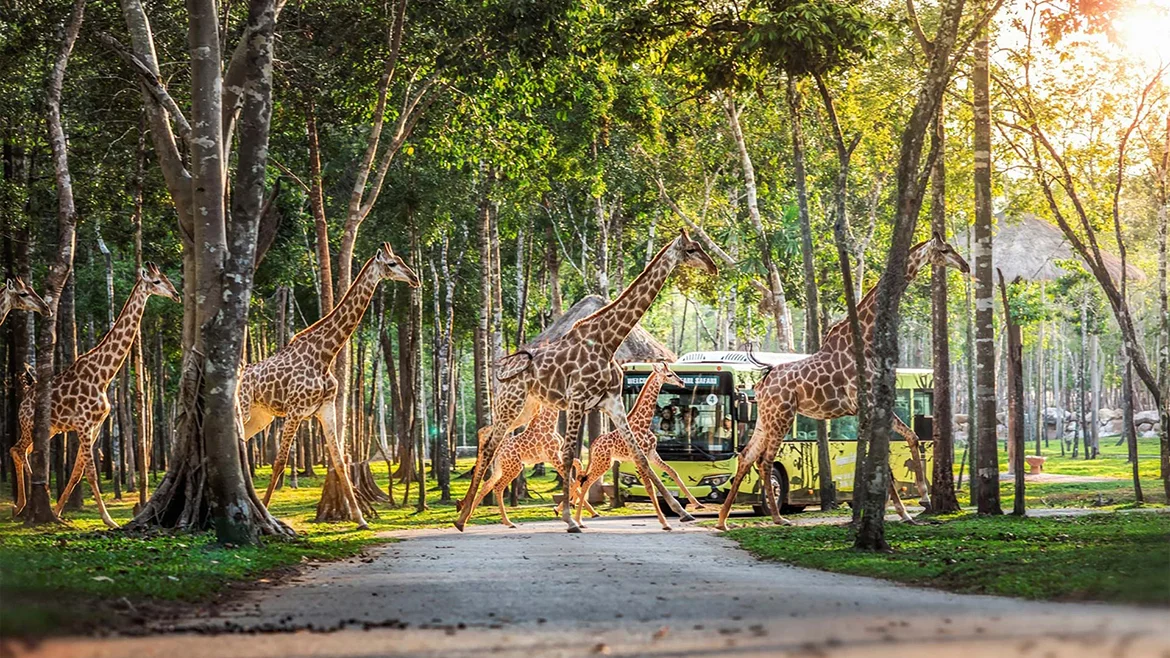 Vinhomes Global Gate Hạ Long